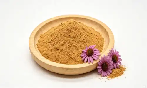 What Are the Key Characteristics of Echinacea Flower Extract Powder?